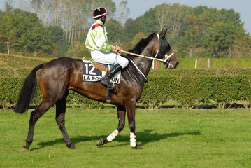 galopeur &agrave; l'&eacute;chauffement