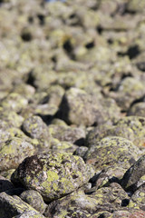 Rocky background texture