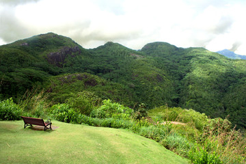 A bench in the mountain