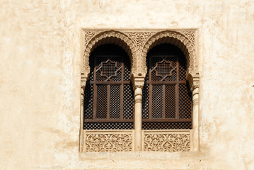 The Alhamvbra in Granada Spain