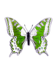 Obraz na płótnie Canvas papillon