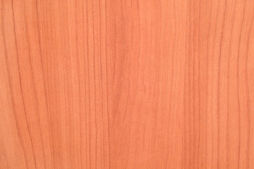 Brown woody texture