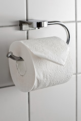 Toilet roll
