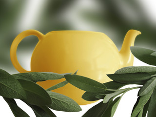 fresh sage and teapot
