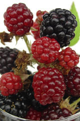 blackberry