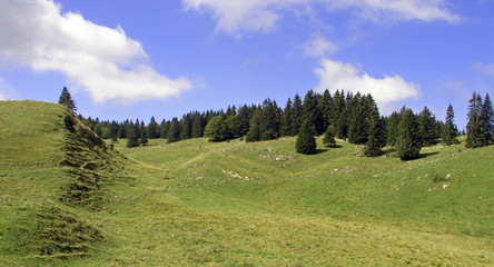 paysage de moyenne montagne