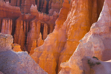Red rock of Bryce