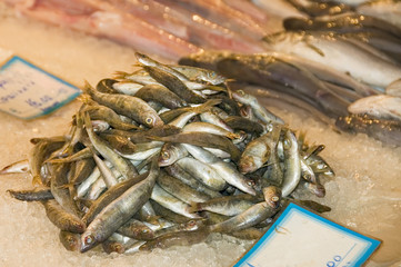 fresh herrings from market