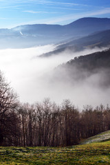 Obraz na płótnie Canvas Wzgórza i lasów w mgle.