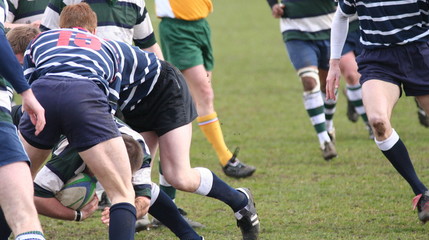 rugby