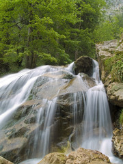 Fototapeta na wymiar Waterfall on Mountain River