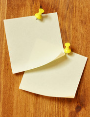 Two blank note papers
