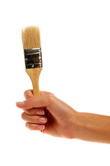 brush