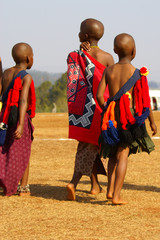 Suazi children in traditional attire - Reed Dance 2007 - obrazy, fototapety, plakaty