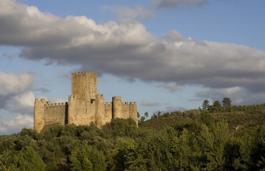 Fototapeta na wymiar Castelo de Almourol and Clouds