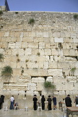 Hasidic jews at the wailing western wall, jerusalem, israel