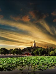 Foto op Canvas Peking --Beihei Park © XtravaganT