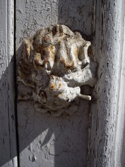 llamador de puerta con forma de cabeza de leon