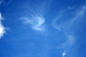 White clouds in the blue sky.
