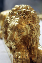 lion doré
