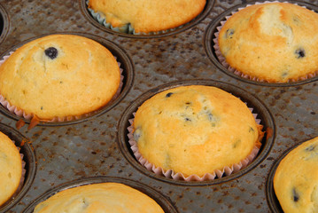 Fresh muffins in old, grungy muffin tin