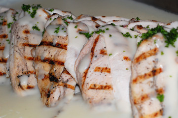 grilled chicken with white sauce