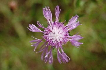 delicatesse fragilite