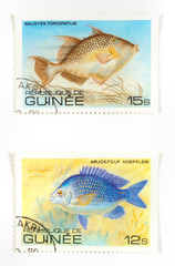 Exotic fish on stamps