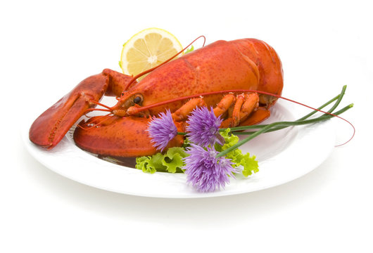 Lobster & Chives