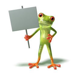 Fototapeta premium Grenouille