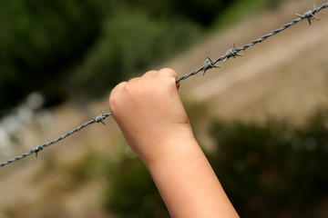 hand of a child in a barbed wire