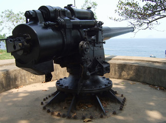 Black cannon