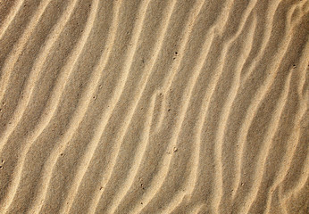Sand ripples close up background.