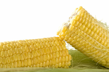 Corn
