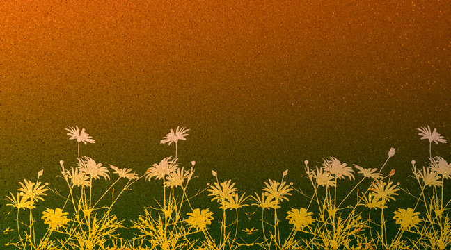 daisies