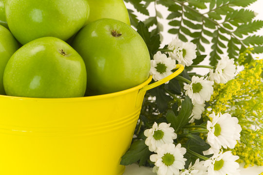 Green apples, yellow bucket and flowers on white background