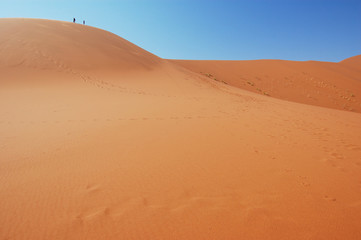 Fototapeta na wymiar On top of the dune