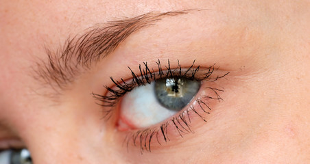 Human eye. macro shooting