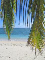 Palm leafs and blue sea from Nattes island, Nosy Boraha