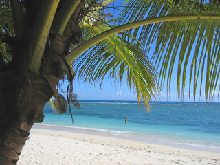 Palm tree and blue sea from Nattes island, Nosy Boraha