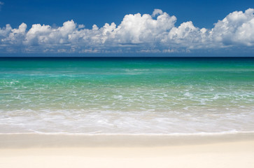 Obrazy  Tropikalny raj na plaży?