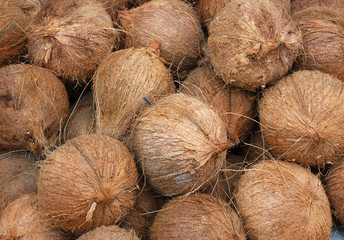 Coconuts