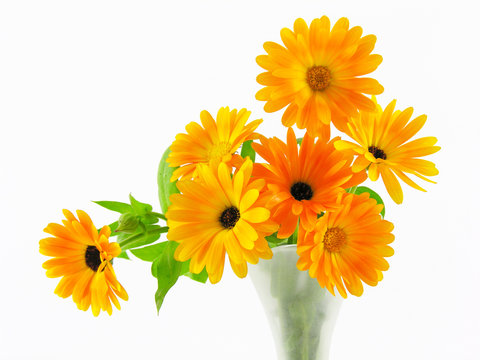 Bouquet de soucis / calendula