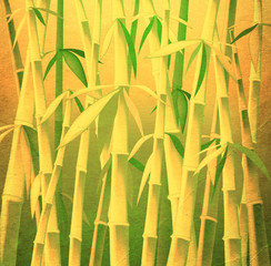bamboo trees