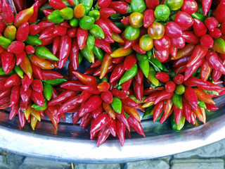 Paprika