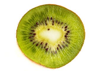 the part of kiwi