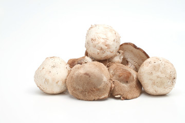 shitake and button mushrooms