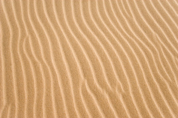 golden sand grooves