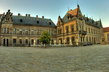 square with tree