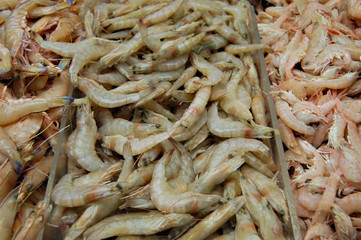 prawns